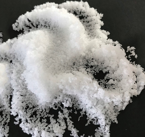 Seasalt